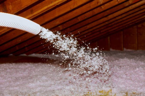 Best Insulation Installation Services in Lake Lorelei, OH